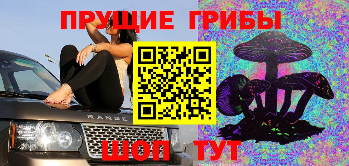 Псилоцибиновые грибы GOLDEN TEACHER Мелеуз